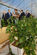Presidente Cavaco Silva encontrou-se com Jovens Agricultores do Algarve (7)