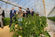 Presidente Cavaco Silva encontrou-se com Jovens Agricultores do Algarve (8)