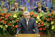 Presidente Cavaco Silva recebido em Sesso Solene pela Assembleia Legislativa dos Aores (7)