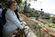 Visita ao Jardim Botnico no Funchal (7)