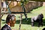 Anniversary of the Lisbon Zoo