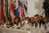 Cimeira Ibero-Americana concluiu trabalhos no Estoril e Portugal transmitiu presidncia para a Argentina (22)