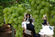 Visita  Herdade Vale da Rosa, produtora de uva de mesa (31)