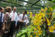 Presidente batizou orquídea do Jardim Botânico de Singapura com o nome Maria Cavaco Silva (12)