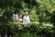 Presidente batizou orquídea do Jardim Botânico de Singapura com o nome Maria Cavaco Silva (13)
