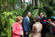 Presidente da Repblica visitou Jardim Botnico Tropical (6)