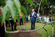 Presidente da Repblica visitou Jardim Botnico Tropical (9)