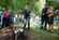 Presidente da Repblica visitou Jardim Botnico Tropical (12)