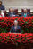 Presidente Cavaco Silva na Sesso Solene Comemorativa do 36 Aniversrio do 25 de Abril (23)