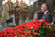 Presidente Cavaco Silva na Sesso Solene Comemorativa do 36 Aniversrio do 25 de Abril (35)
